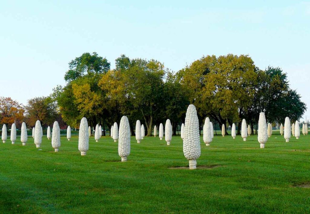 A Field of Corn aka Cornhenge