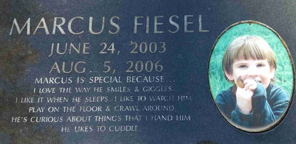 Fiesel
